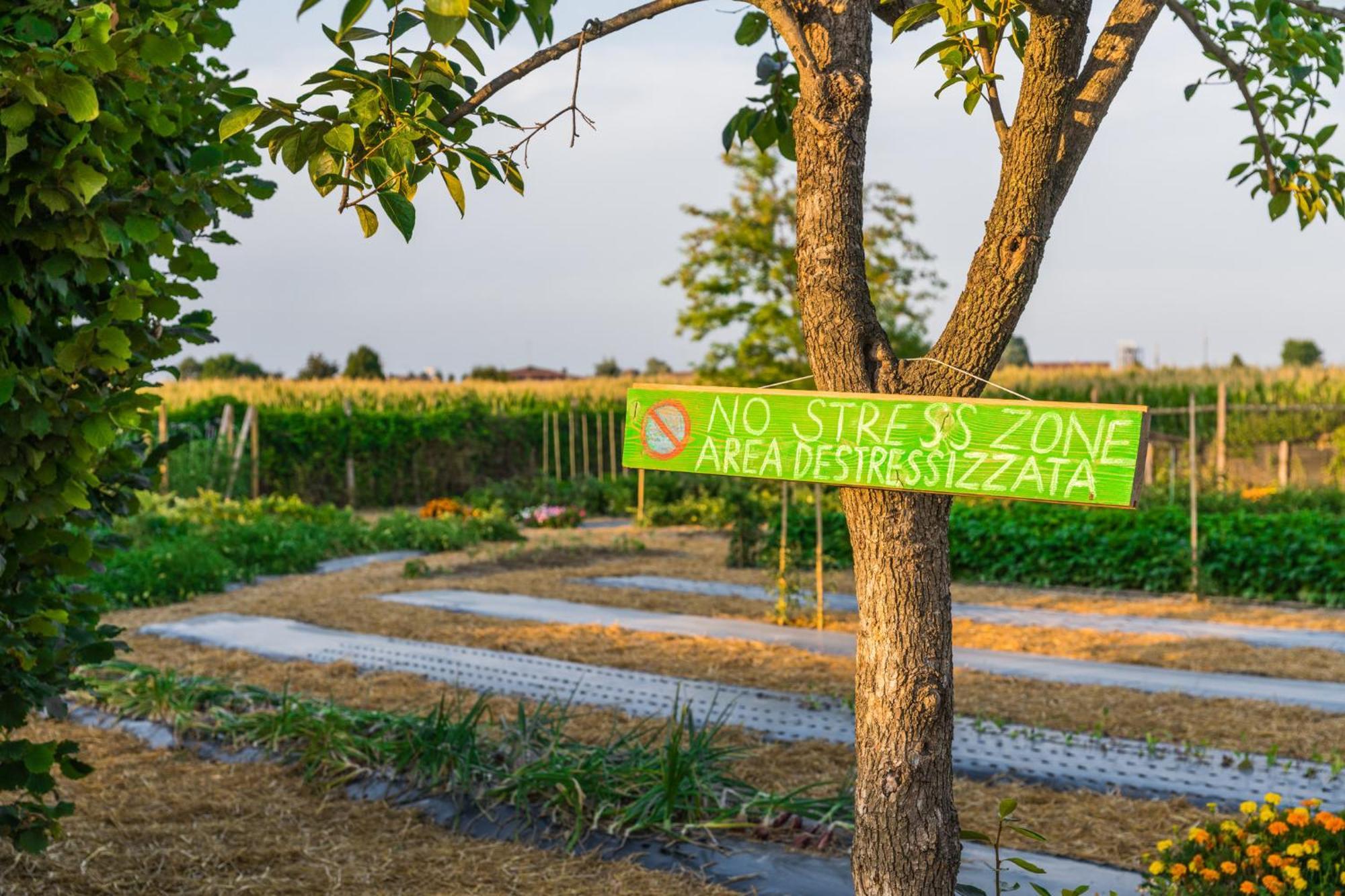 Bed and Breakfast La Posa Degli Agri Legnaro Zewnętrze zdjęcie